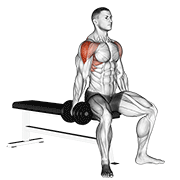 Dumbbell seated lateral raise animation