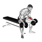 Dumbbell seated palms up wrist curl animation