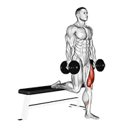 Dumbbell single leg split squat animation