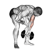 Dumbbell standing one arm concentration curl animation
