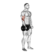 Dumbbell standing one arm reverse curl animation