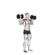 Dumbbell standing overhead press animation