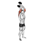 Dumbbell standing triceps extension animation