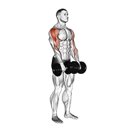 Dumbbell upright row animation