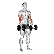 Dumbbell zottman curl animation