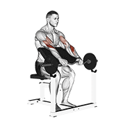 Ez barbell reverse grip preacher curl animation