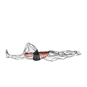 Flexion leg sit up (straight arm) animation