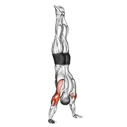 Handstand push-up animation