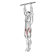 Hanging leg raise animation