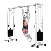 Hanging straight leg hip raise animation