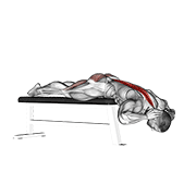 Hyperextension (on bench) animation