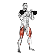 Kettlebell front squat animation