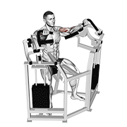 Lever bicep curl animation