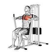 Lever chest press animation