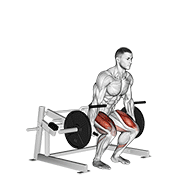Lever deadlift animation