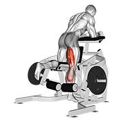 Lever kneeling leg curl animation