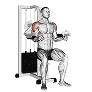 Lever lateral raise animation