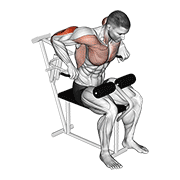 Lever overhand triceps dip animation