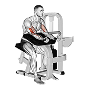 Lever preacher curl animation