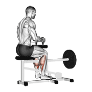 Lever seated calf raise animation