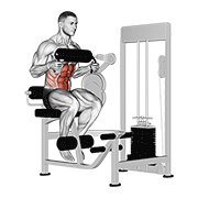 Lever seated crunch (chest pad) animation