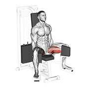 Lever seated hip adduction animation