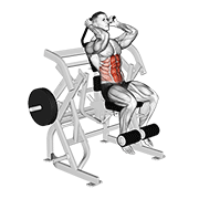 Lever seated leg raise crunch animation