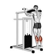 Lever standing calf raise animation