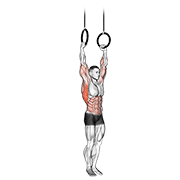 Muscle up animation