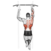 One arm chin-up animation