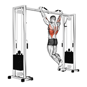 Pull up (neutral grip) animation