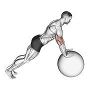 Push-up (on stability ball) animation