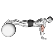 Push-up (on stability ball) animation