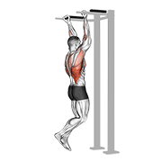 Reverse grip pull-up animation
