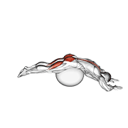 Reverse hyper extension (on stability ball) animation