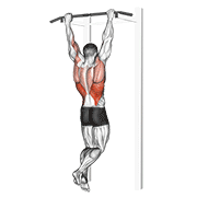 Rocky pull-up pulldown animation