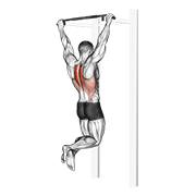 Scapular pull-up animation