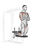 Self assisted inverse leg curl animation