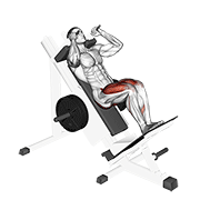 Sled closer hack squat animation