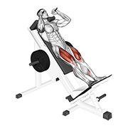 Sled hack squat animation