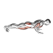 Spider crawl push up animation