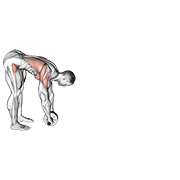 Standing wheel rollerout animation