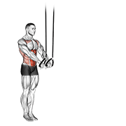 Suspended abdominal fallout animation