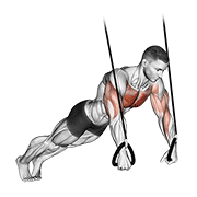 Suspended push-up animation