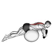 Weighted hyperextension (on stability ball) animation