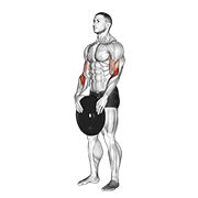 Weighted standing curl animation