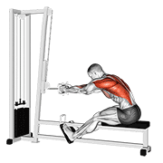 Cable seated row animation