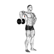 Dumbbell upright shoulder external rotation animation