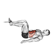 Cable reverse crunch animation