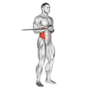 Band horizontal pallof press animation